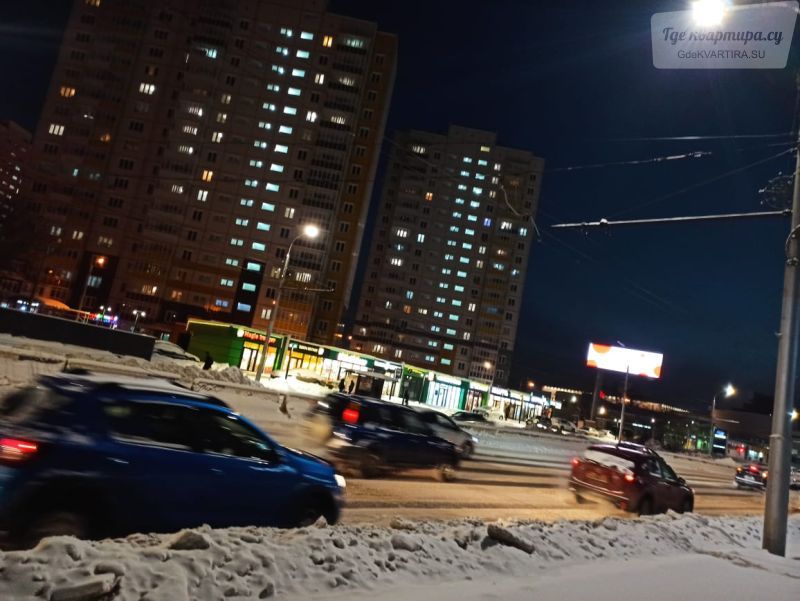 улица Партизана Железняка, 61